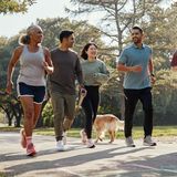 A small group of people of mixed ages jogging together along a sunlit park path on a calm morning